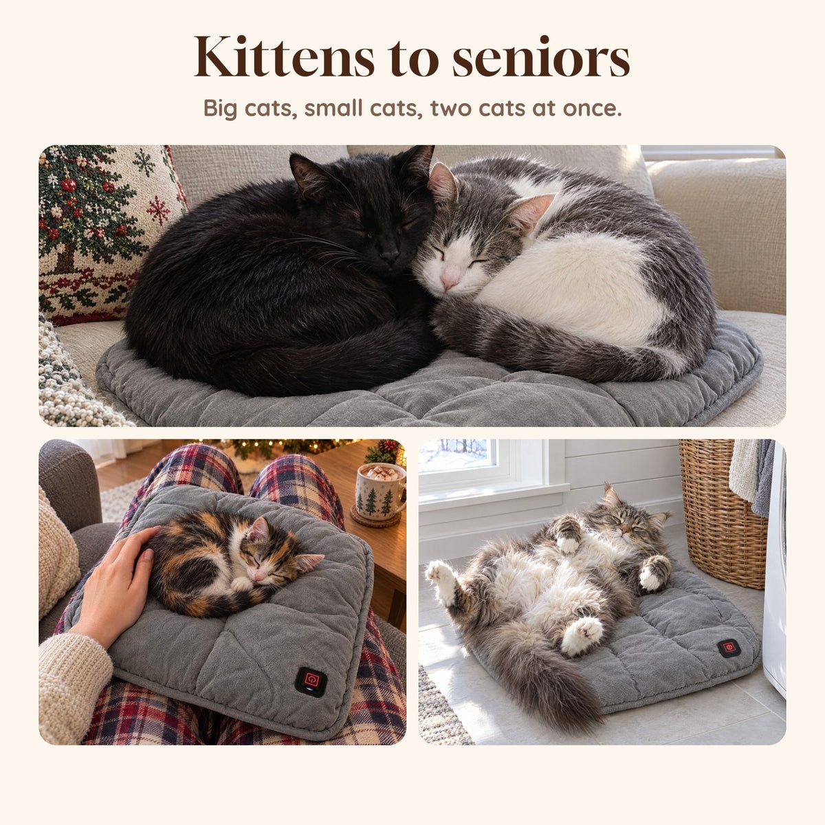 KittyHearth Heated Cat Cushion